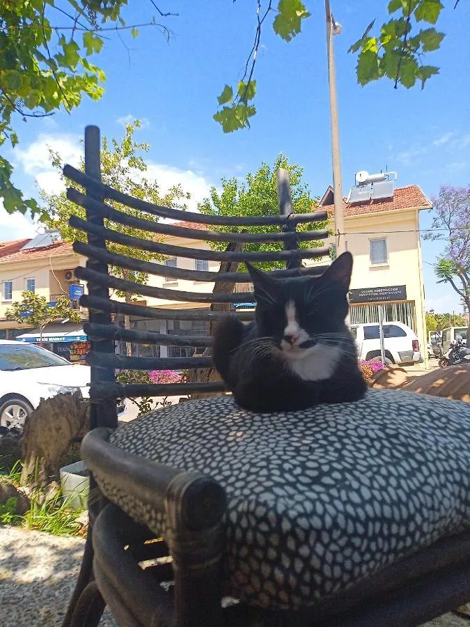 Hotel Yolo Otel Mugla